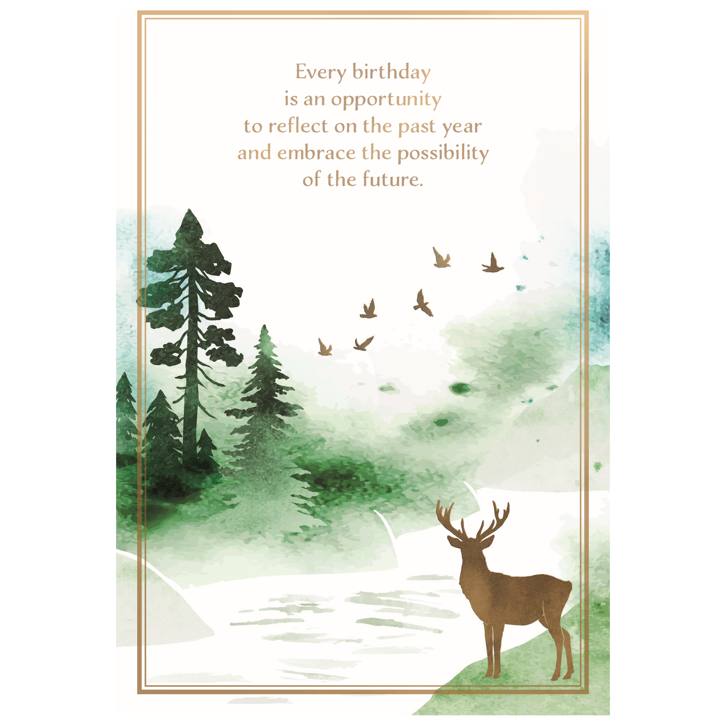 Occasion - Birthday
