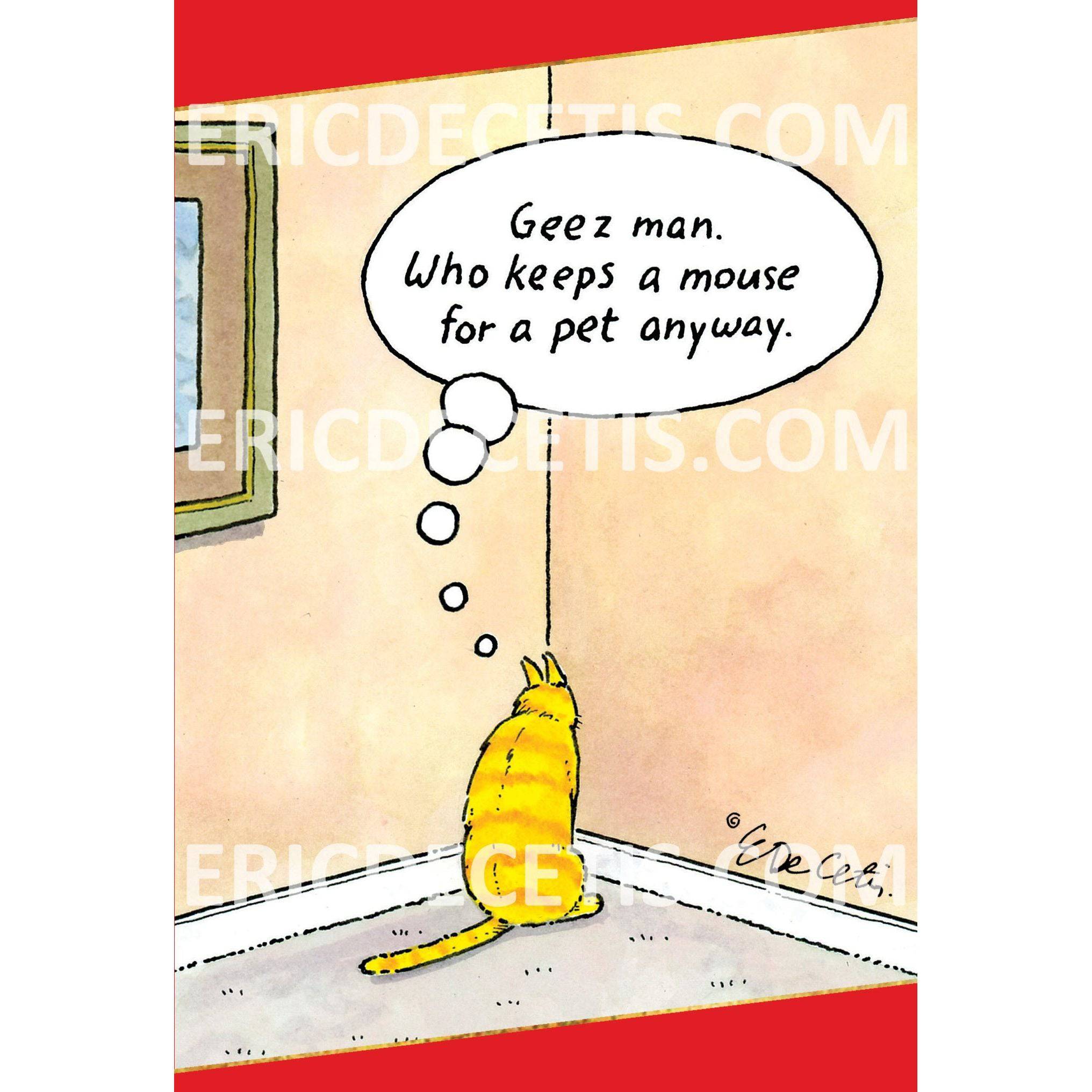 Pictura Cat Corner Birthday Card featuring colorful illustrations of cats in a corner design, suitable for everyday occasions.