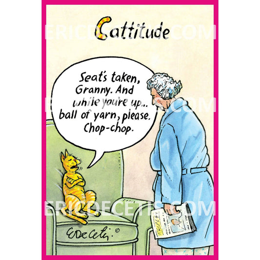 Pictura Cattitude Birthday Card by Eric Decetis featuring playful cat illustration on an everyday greeting card.