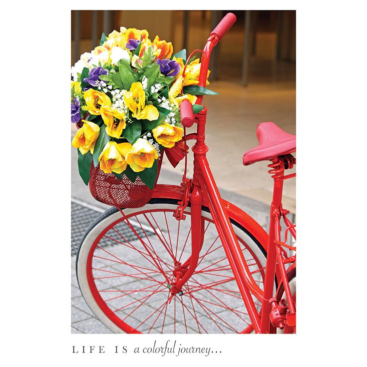Snapshot - Birthday