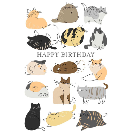 Colorful Pictura kittens birthday card featuring cute kitten illustrations on a cheerful background.