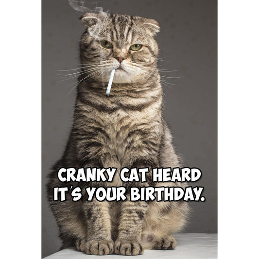 Funny Cranky Cat birthday card by Pictura featuring a humorous cat illustration on an everyday card.