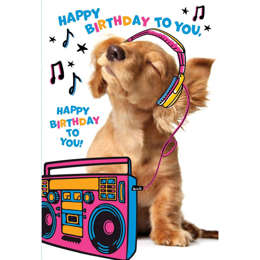 Funny birthday card featuring a puppy image, from Pictura's everyday card collection, perfect for celebrating with humor.