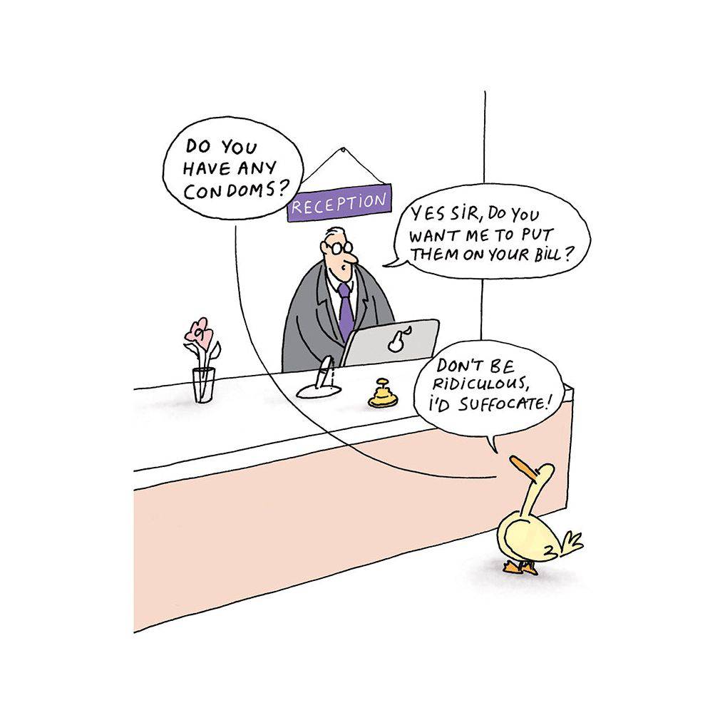Funny birthday card by Pictura featuring humorous artwork, designed as an everyday greeting card for celebrating birthdays.