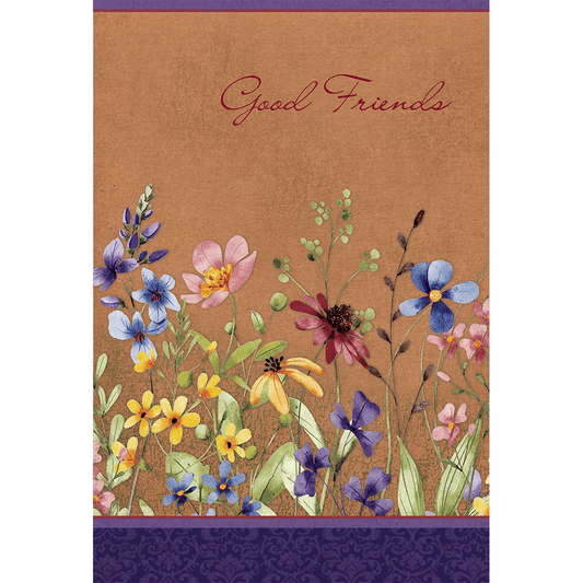 Pictura Good Friends birthday card featuring cheerful colorful design for celebrating friends' birthdays.