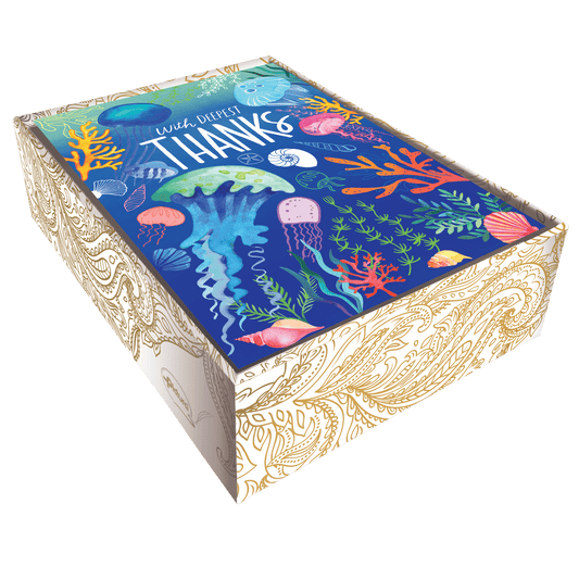 Pictura Ocean of Thanks boxed thank you cards set featuring ocean-themed designs and matching envelopes for expressing gratitude.