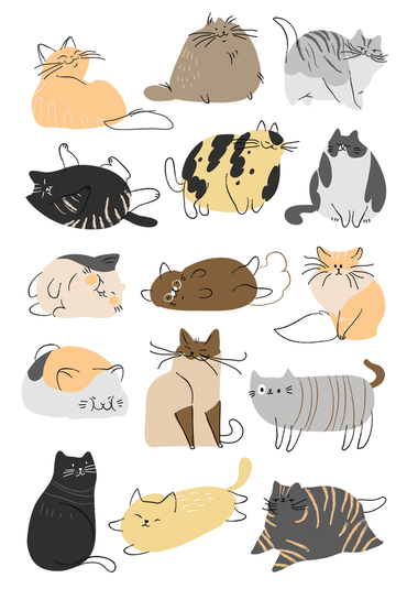 Boxed Notes - Kittens