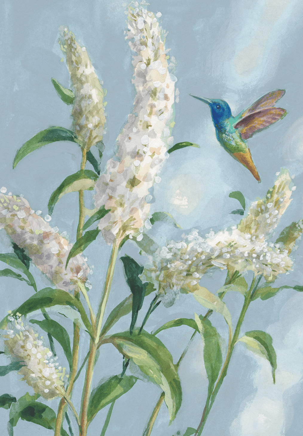 Pictura hummingbird themed boxed notes with blank cards for writing, arranged in a decorative box.