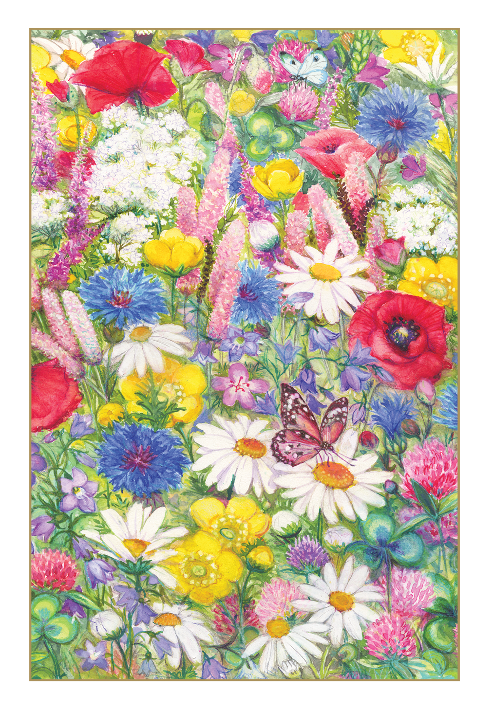 Boxed Notes - Wildflowers