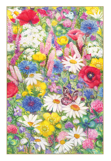 Boxed Notes - Wildflowers