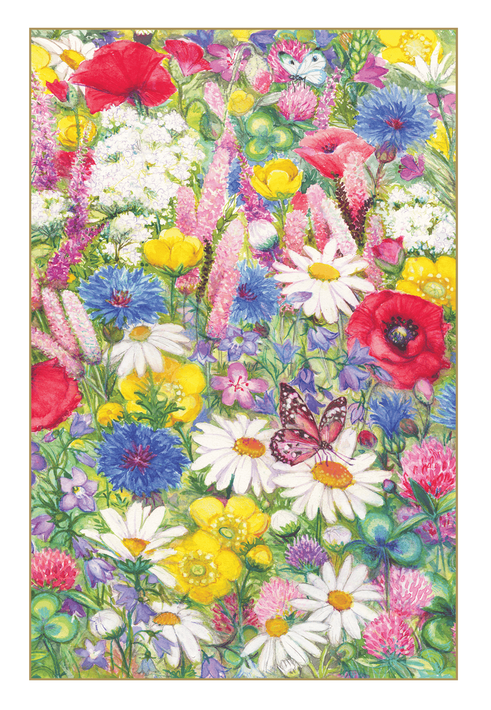 Set of Pictura Wildflowers Boxed Notes blank cards with floral designs, perfect for handwritten messages and gift greetings.