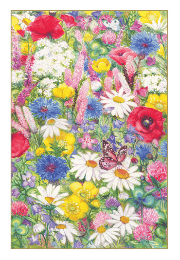 Set of Pictura Wildflowers Boxed Notes blank cards with floral designs, perfect for handwritten messages and gift greetings.