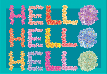 Pictura Hello Flowers boxed notes blank cards set with floral design and space for personalized messages.