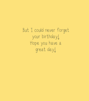 I'm Never Sure Birthday Card by Pictura featuring playful Dolly Mamas design on an everyday greeting card.