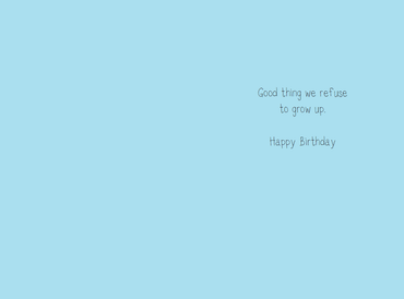 Being An Adult Is Stupid birthday card from Dolly Mamas by Pictura, featuring humorous design for everyday greeting cards.