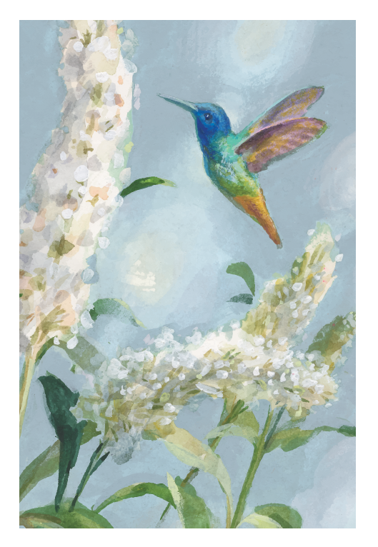 Smart Cloth - Little Hummingbird