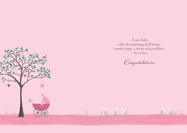 Occasion - Baby Girl