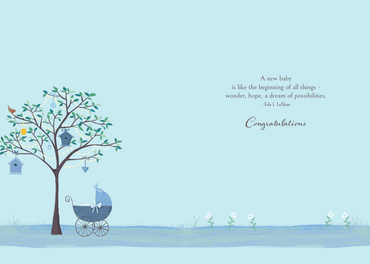 Pictura Carriage Baby Boy card from the Everyday Cards collection featuring a cute baby carriage design.