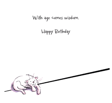 Funny birthday card featuring a chocolate salad illustration from Pictura's everyday greeting card collection.