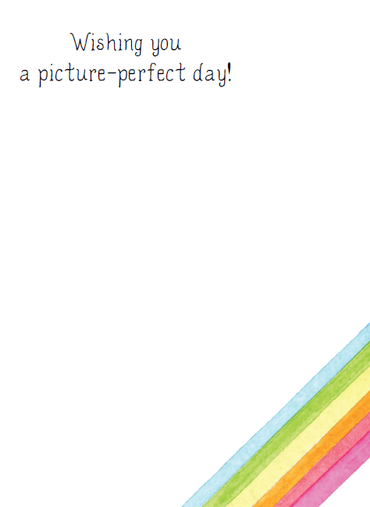 Pictura Polaroid Camera birthday card from the Everyday Cards collection, featuring a colorful illustrated camera design.