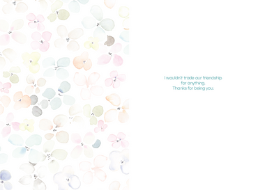 Occasion - Friendship