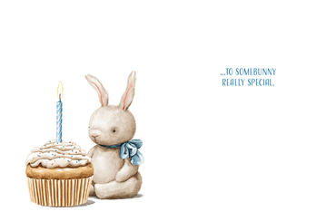 Pictura Toy Rabbit birthday card featuring a cute illustrated rabbit design on a colorful greeting card.