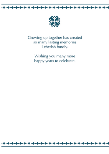 Occasion - BD Brother