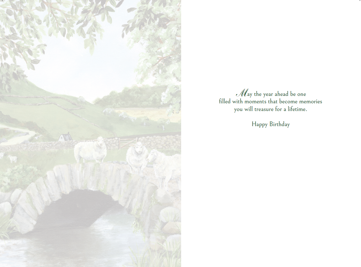 Occasion - Birthday
