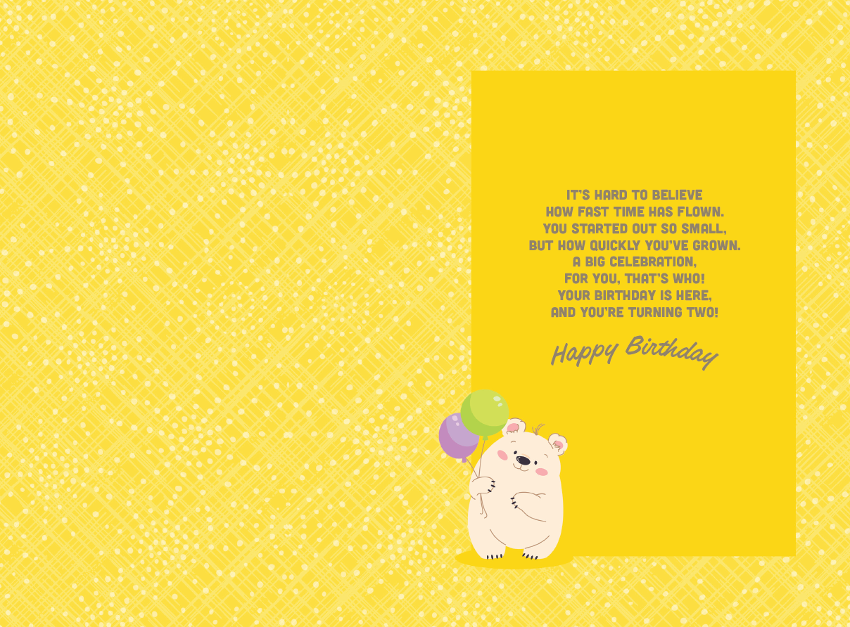 Occasion - 2nd Birthday
