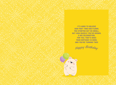 Pictura 2nd Bear birthday card from everyday cards collection, featuring a cute bear illustration for a child's birthday celebration.