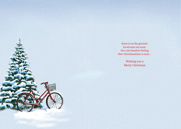 Seasonal Winter Home Christmas Card by Pictura featuring festive holiday design with snowflakes and cozy winter scene.