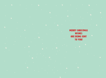 Pictura Ho Ho Ho Christmas Card featuring festive holiday design with seasonal greeting and cheerful red and green colors.