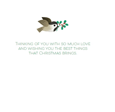 Pictura Bird Trio Christmas Card featuring a festive design with three colorful birds for the holiday season.