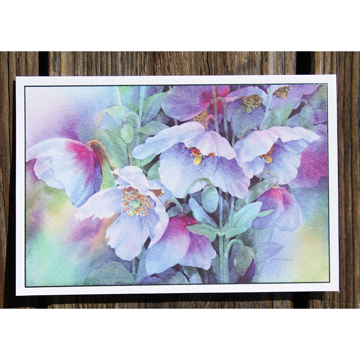 Sympathy Card Wishing you comfort - Cardmore