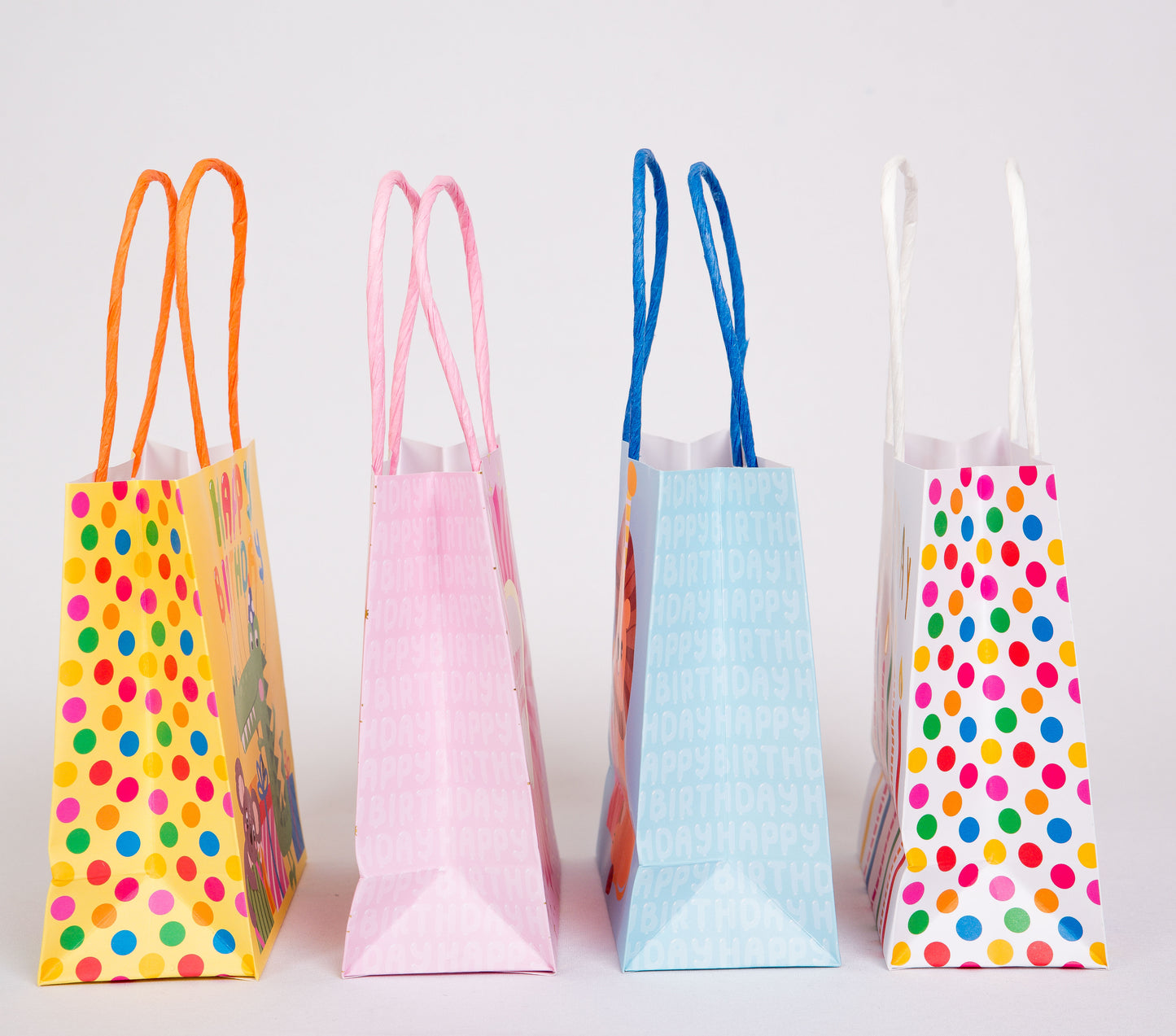 Lion Favor Bags Set of 6