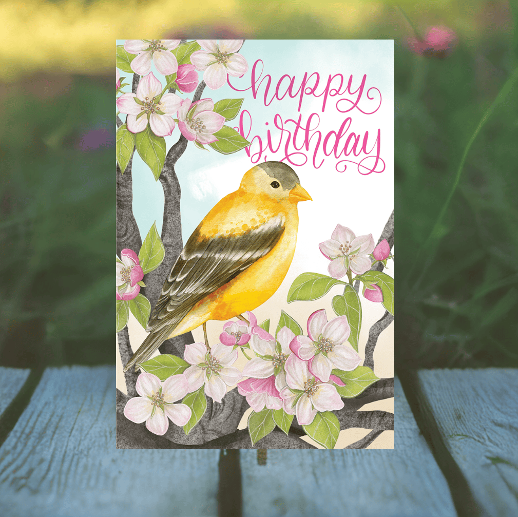 Goldfinch birthday card from Pictura featuring a detailed illustration of a cheerful goldfinch bird.