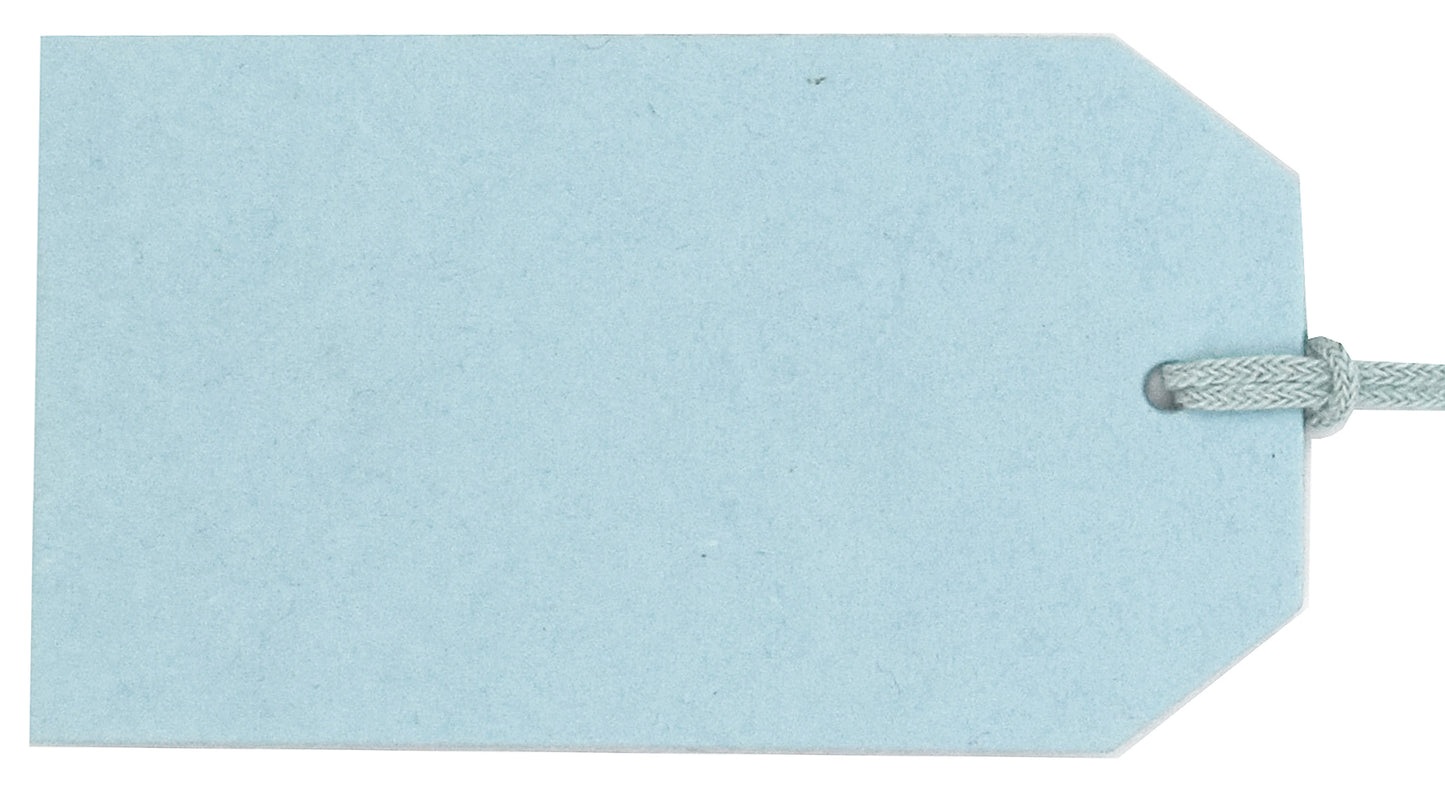 Pool Blue Luggage Tag S/20