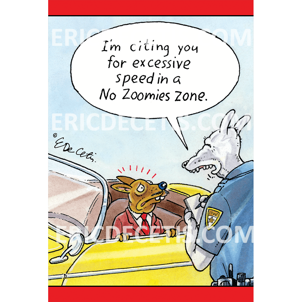 Pictura No Zoomies Zone birthday card by Eric Decetis featuring playful dog illustrations on an everyday card.