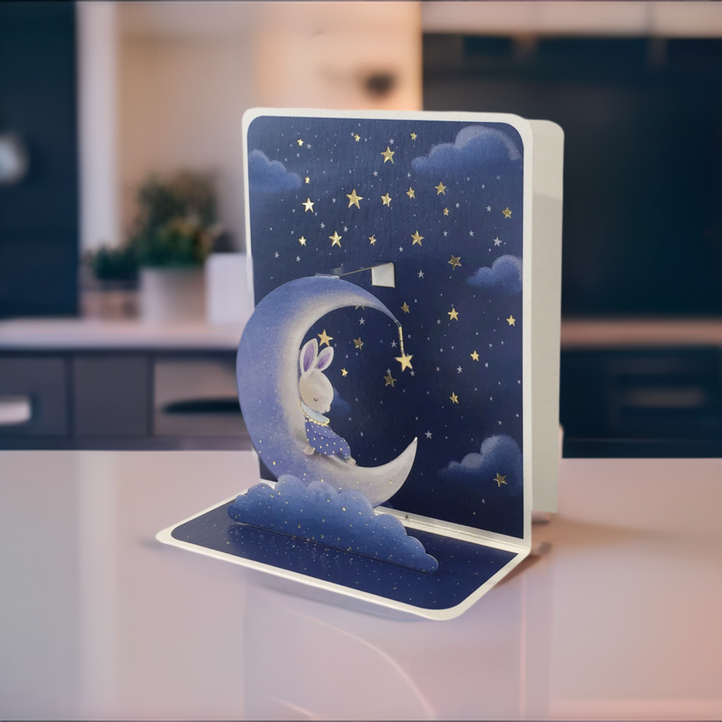 Small Pop Up Cards - Blue Bunny