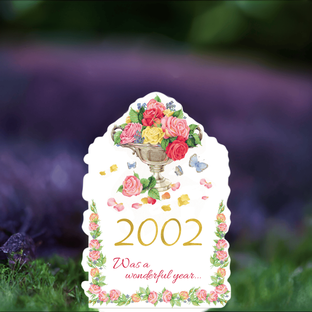 Year of Birth 2002 card from Cardmore, featuring a stylish design displaying the year 2002 for birthday celebrations.