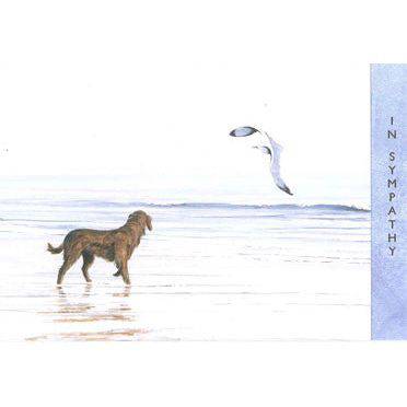 Dog on beach sympathy card from Pictura featuring a serene image of a dog on a sandy beach for condolence messages.