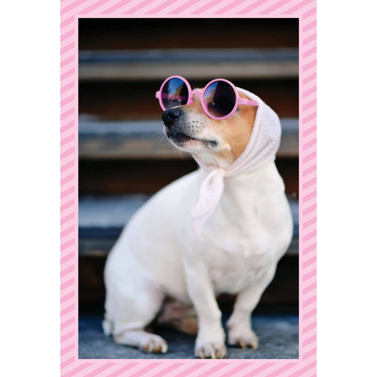 In Focus Birthday everyday card by Pictura featuring colorful, artistic design for celebrating birthdays.