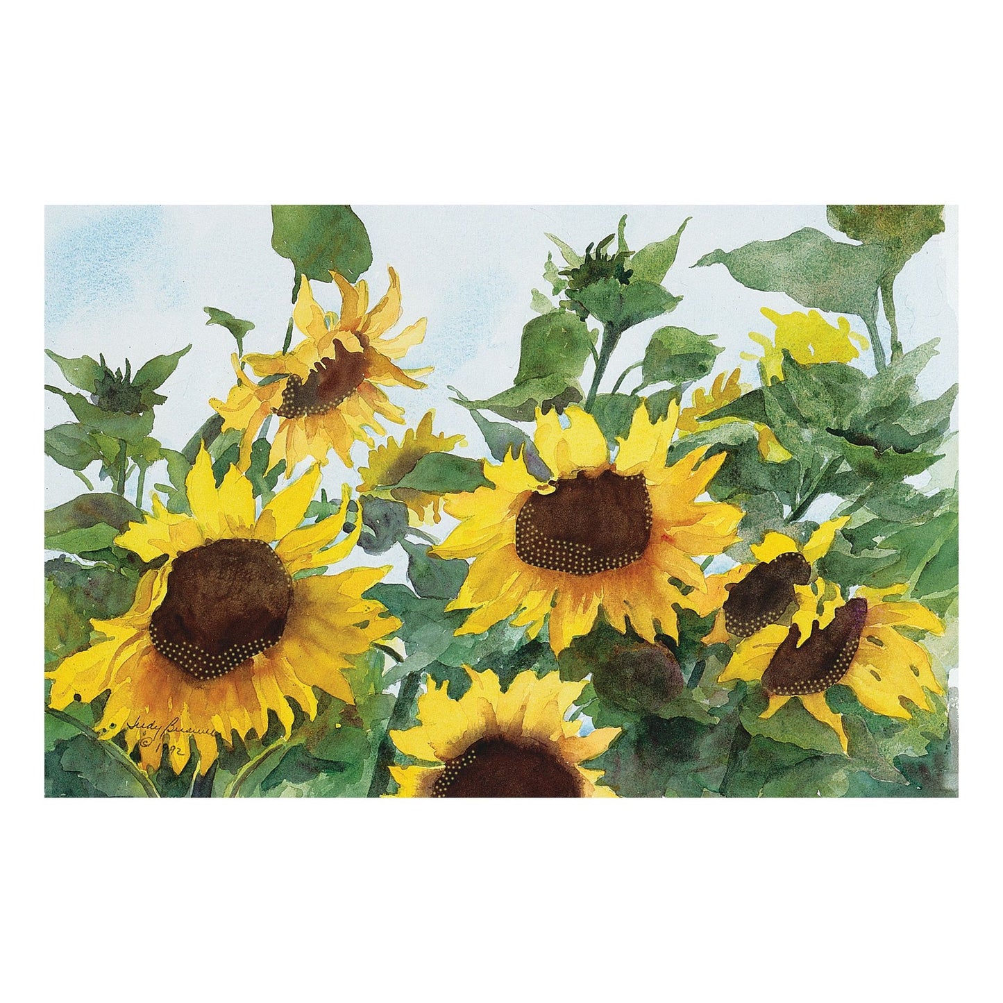 Sunflowers Birthday Card - Cardmore