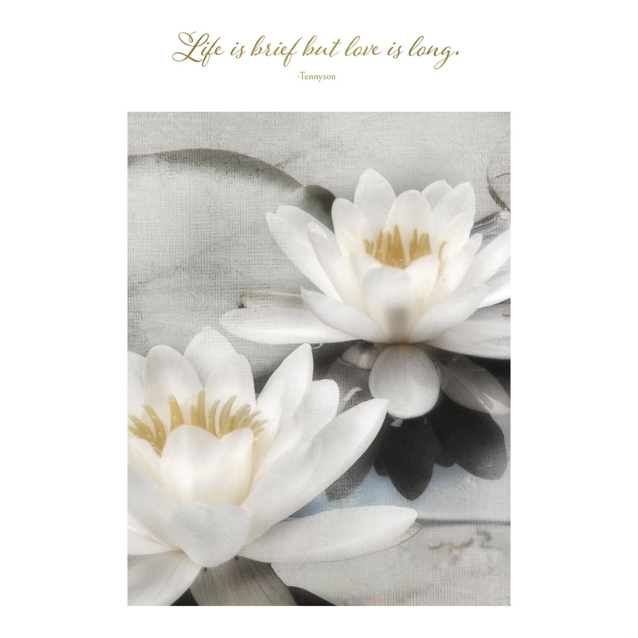 Pictura My Garden Pond sympathy card from the Everyday Cards collection featuring a serene garden pond scene.