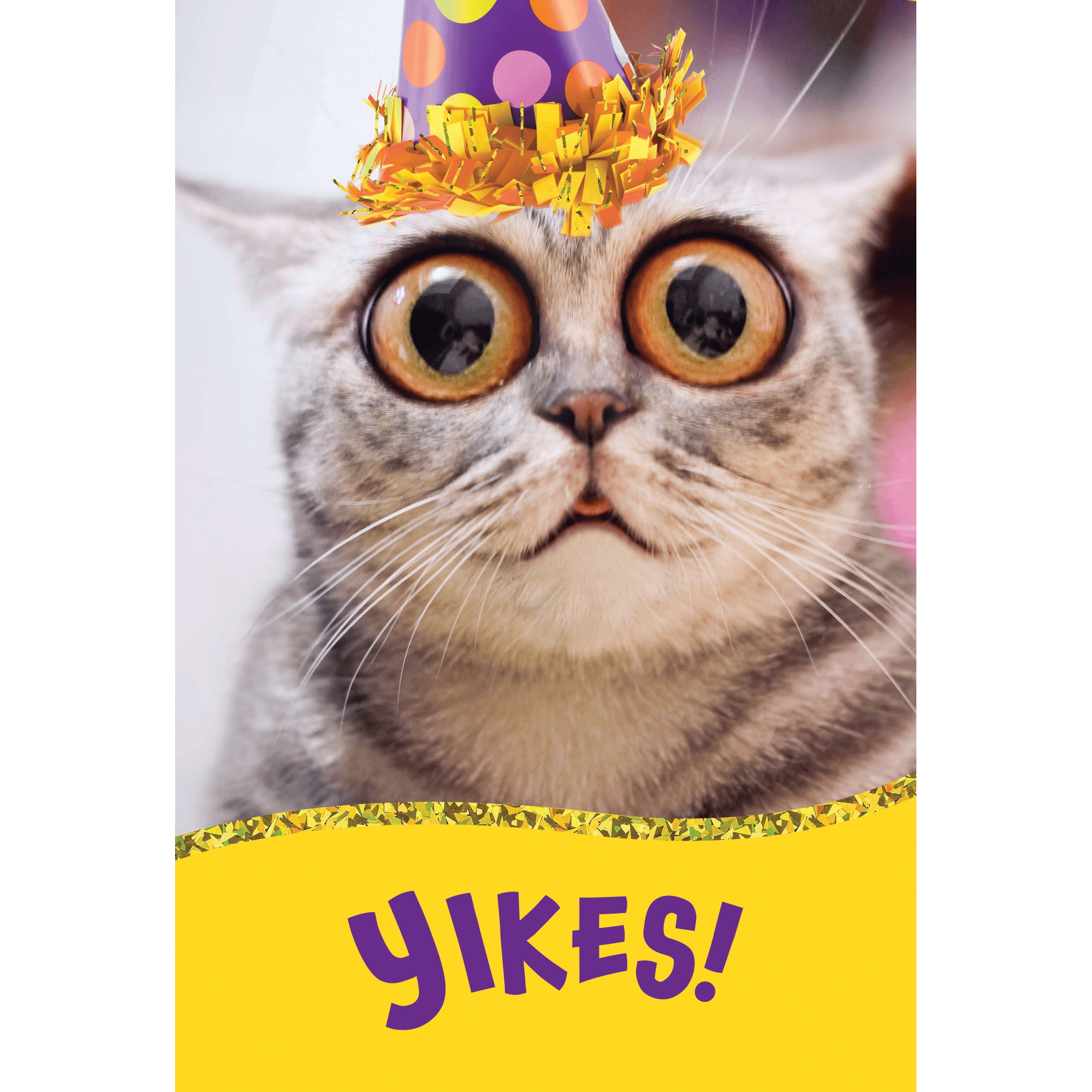 Surprised cat birthday card from Pictura featuring a funny, expressive feline design for everyday occasions.