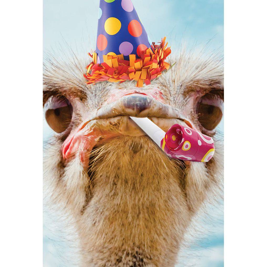 Funny ostrich face birthday card from Pictura, featuring humorous illustration for everyday greeting occasions.