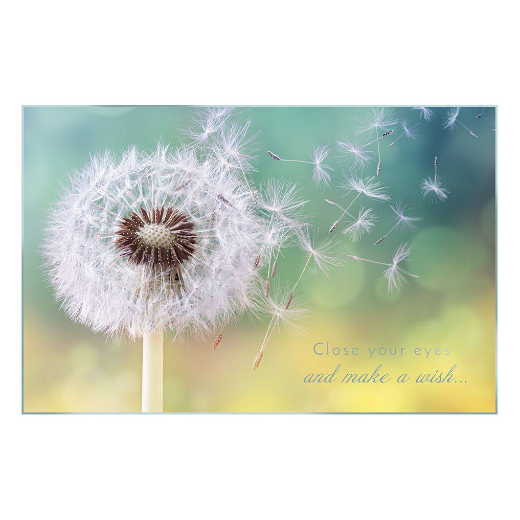 Dandelion blowing birthday card from Pictura featuring a delicate illustration of a dandelion seed head for celebration.