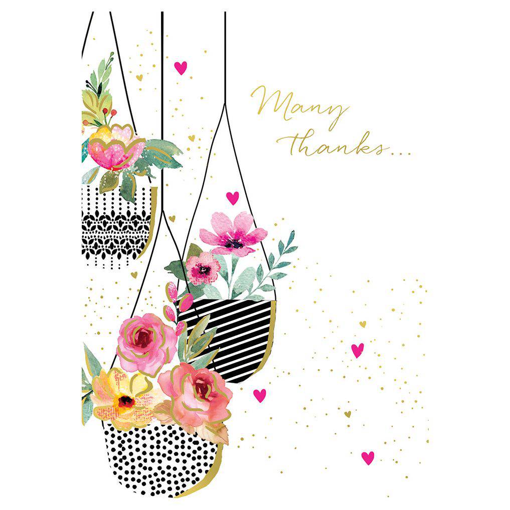 Three hanging plants thank you card by Pictura featuring elegant botanical illustrations on an everyday card.