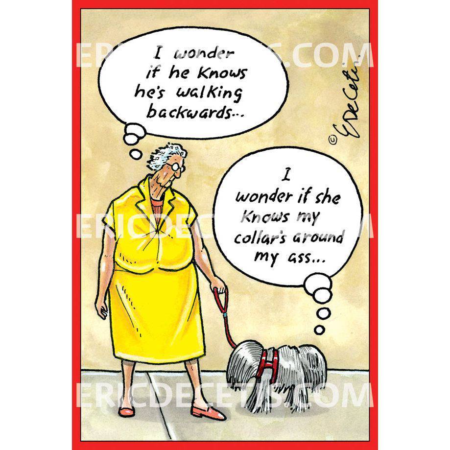 Dog Walks Backwards birthday card by Pictura featuring playful dog illustration on the front, suitable for everyday greeting cards.