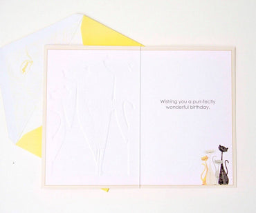 Colorful Cats Birthday Card from Pictura featuring playful illustrated cats, perfect for celebrating special occasions.